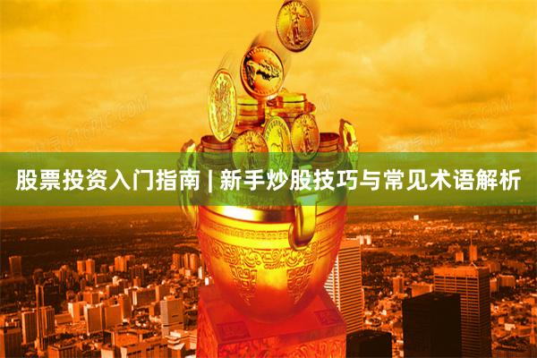 股票投资入门指南 | 新手炒股技巧与常见术语解析