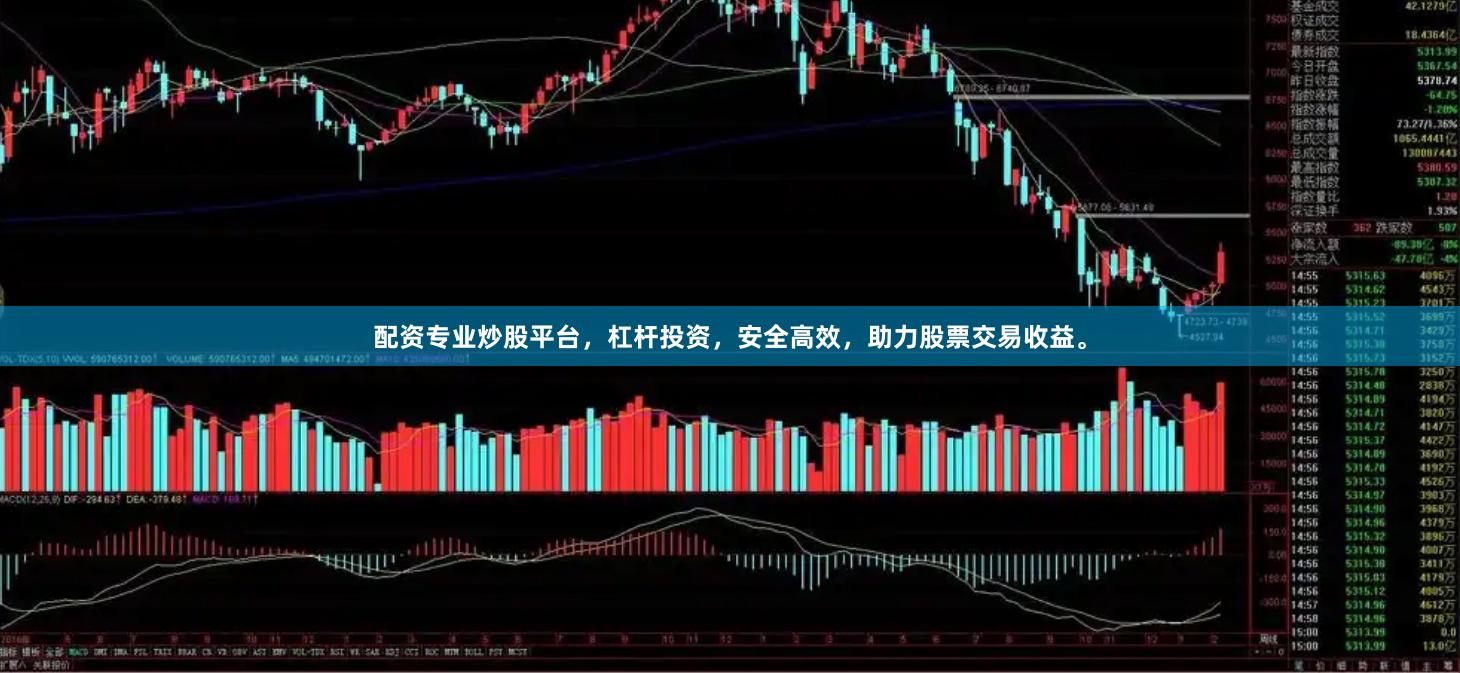 配资专业炒股平台，杠杆投资，安全高效，助力股票交易收益。